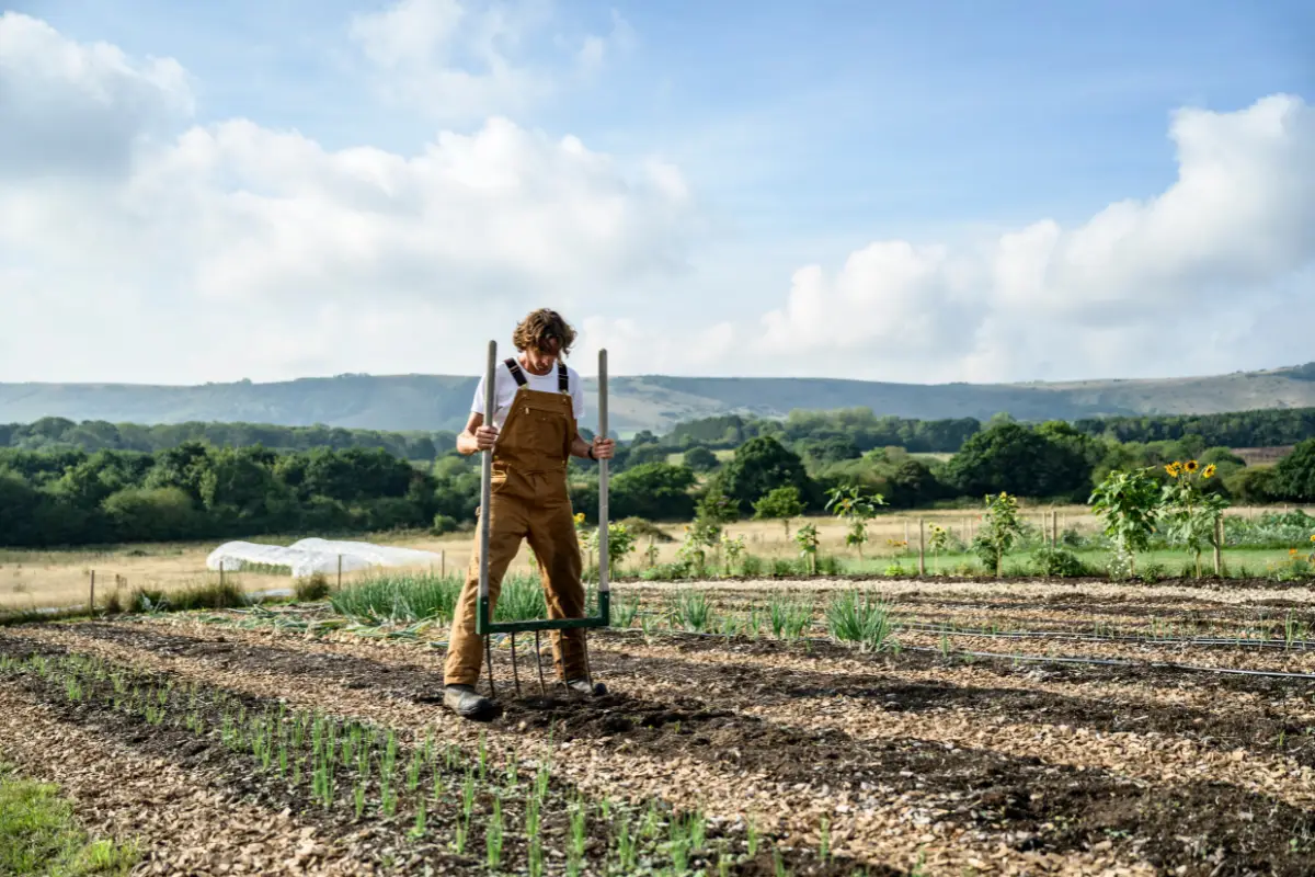 Grelinette au potager
