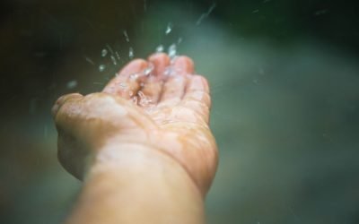 Comment installer un récupérateur d’eau de pluie, quels bénéfices pour le jardin?