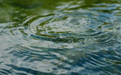 Comment savoir si ma commune est en restriction d’eau