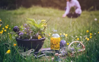 Comment créer un jardin médicinal ?