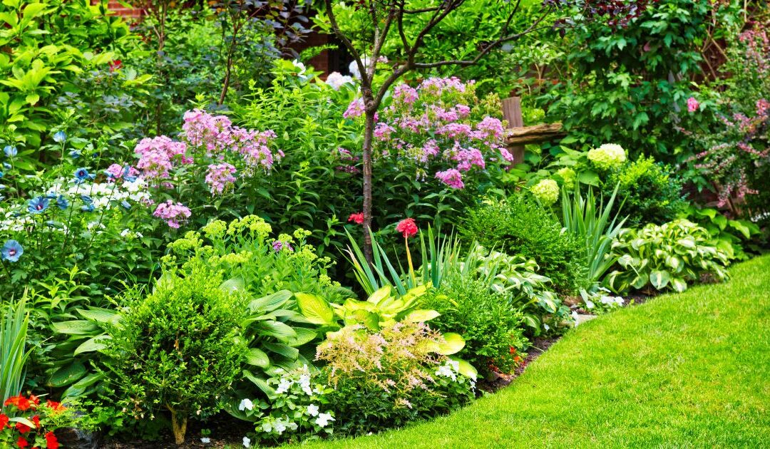 Comment Empêcher Les Chats De Venir Dans Mon Jardin ? | Mon Jardin Sec