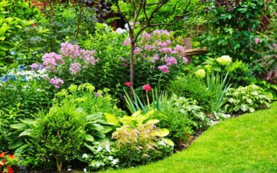 Les secrets d’un jardin harmonieux : techniques et astuces d’aménagement 